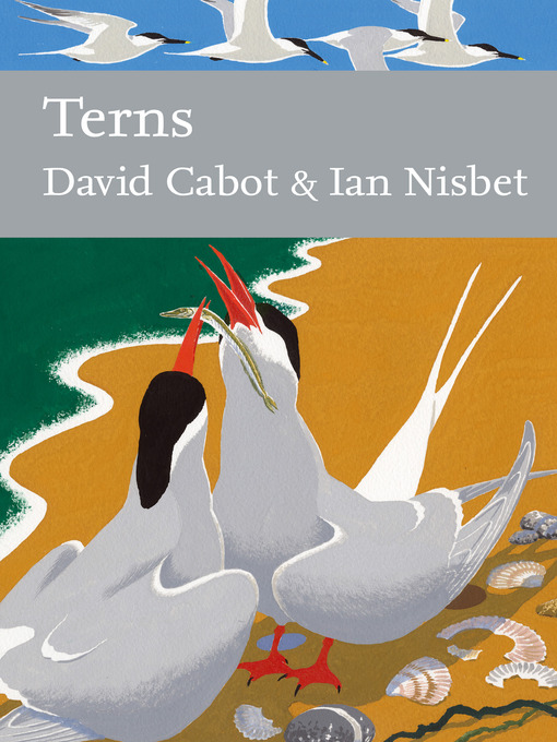 Title details for Terns (Collins New Naturalist Library, Book 123) by David Cabot - Wait list